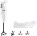 bamix blender, 250 W, Argenté/Blanc, cordless Set avec mixeur plongeant sans fil, Station de charge, Couteau étoile